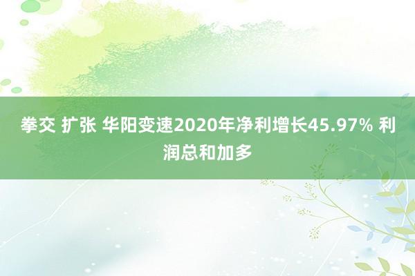 拳交 扩张 华阳变速2020年净利增长45.97% 利润总和加多