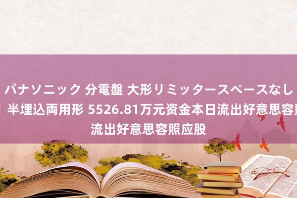 パナソニック 分電盤 大形リミッタースペースなし 露出・半埋込両用形 5526.81万元资金本日流出好意思容照应股