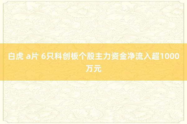 白虎 a片 6只科创板个股主力资金净流入超1000万元