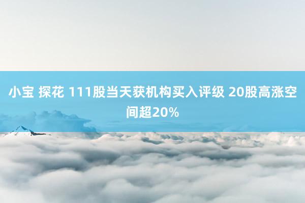 小宝 探花 111股当天获机构买入评级 20股高涨空间超20%