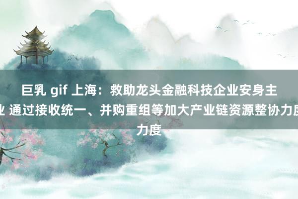 巨乳 gif 上海：救助龙头金融科技企业安身主业 通过接收统一、并购重组等加大产业链资源整协力度