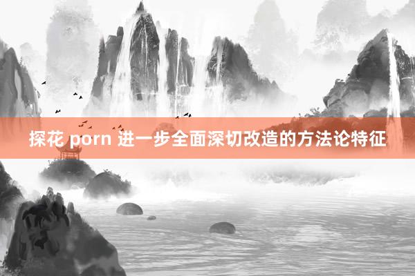 探花 porn 进一步全面深切改造的方法论特征