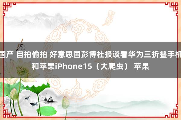 国产 自拍偷拍 好意思国彭博社报谈看华为三折叠手机和苹果iPhone15（大爬虫） 苹果