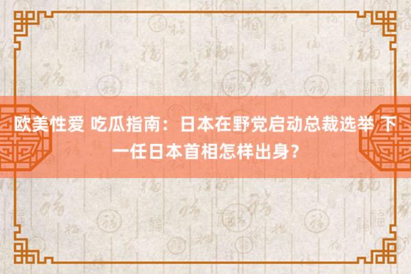 欧美性爱 吃瓜指南：日本在野党启动总裁选举 下一任日本首相怎样出身？