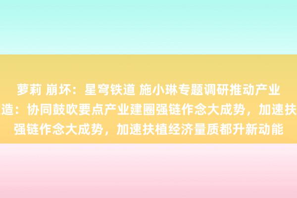 萝莉 崩坏：星穹铁道 施小琳专题调研推动产业建圈强链及增信轨制建造：协同鼓吹要点产业建圈强链作念大成势，加速扶植经济量质都升新动能