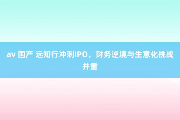 av 国产 远知行冲刺IPO，财务逆境与生意化挑战并重