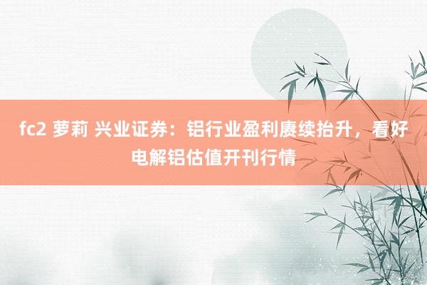 fc2 萝莉 兴业证券：铝行业盈利赓续抬升，看好电解铝估值开刊行情