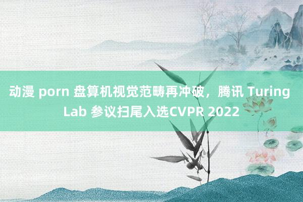 动漫 porn 盘算机视觉范畴再冲破，腾讯 Turing Lab 参议扫尾入选CVPR 2022