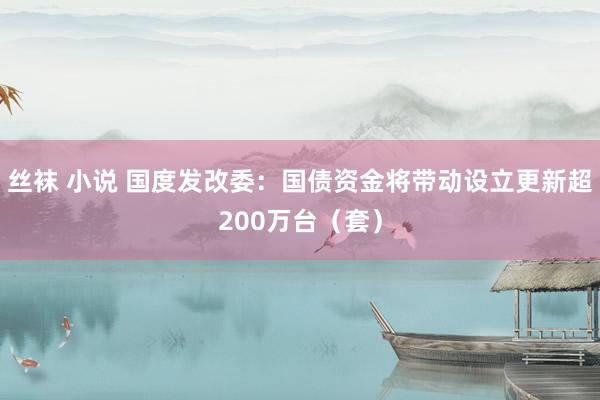 丝袜 小说 国度发改委：国债资金将带动设立更新超200万台（套）