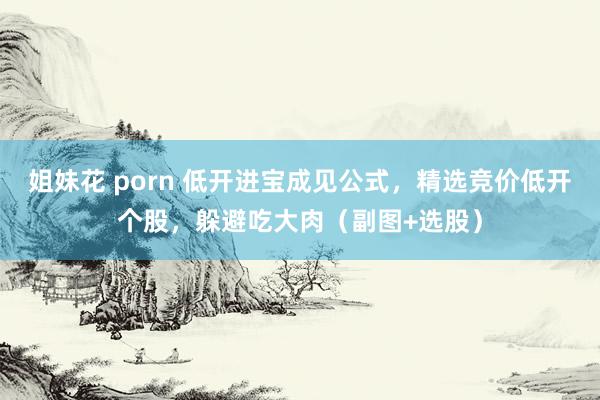 姐妹花 porn 低开进宝成见公式，精选竞价低开个股，躲避吃大肉（副图+选股）