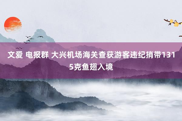 文爱 电报群 大兴机场海关查获游客违纪捎带1315克鱼翅入境