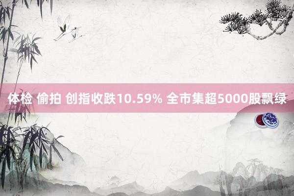 体检 偷拍 创指收跌10.59% 全市集超5000股飘绿