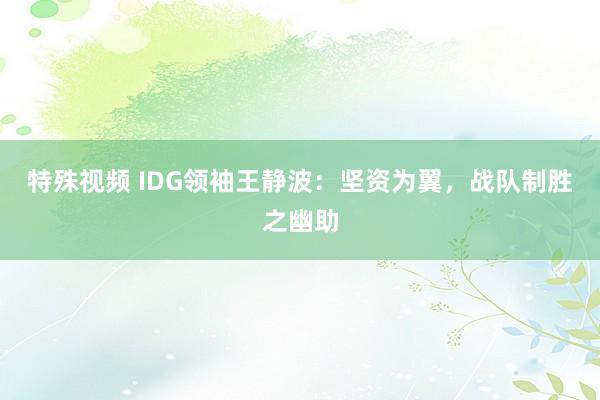 特殊视频 IDG领袖王静波：坚资为翼，战队制胜之幽助