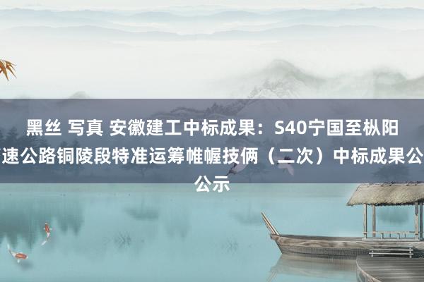 黑丝 写真 安徽建工中标成果：S40宁国至枞阳高速公路铜陵段特准运筹帷幄技俩（二次）中标成果公示