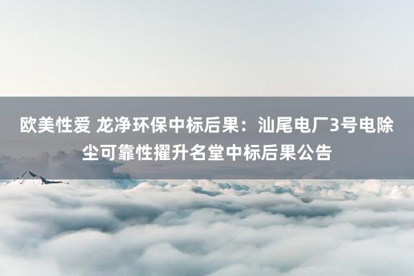 欧美性爱 龙净环保中标后果：汕尾电厂3号电除尘可靠性擢升名堂中标后果公告