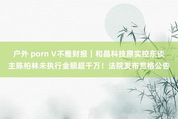 户外 porn V不雅财报｜和晶科技原实控东谈主陈柏林未执行金额超千万！法院发布赏格公告