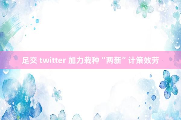 足交 twitter 加力栽种“两新”计策效劳