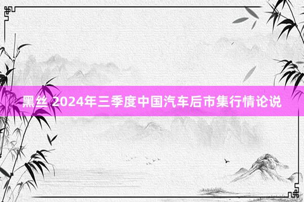 黑丝 2024年三季度中国汽车后市集行情论说