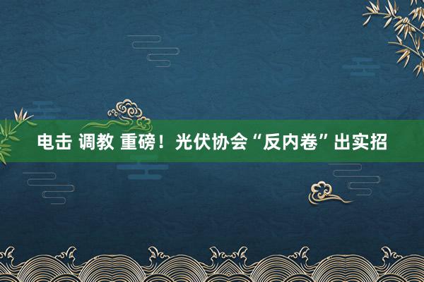 电击 调教 重磅！光伏协会“反内卷”出实招