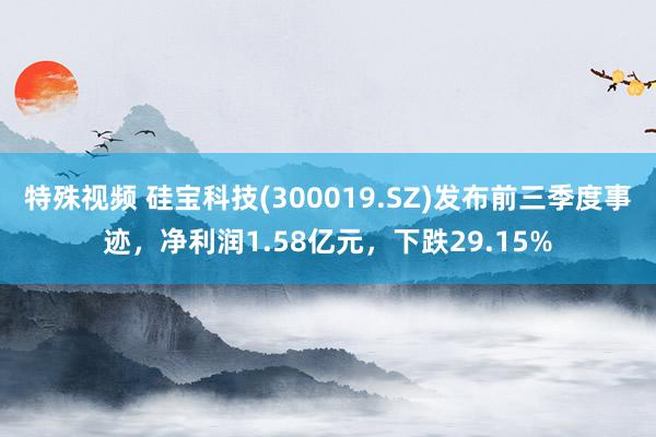 特殊视频 硅宝科技(300019.SZ)发布前三季度事迹，净利润1.58亿元，下跌29.15%