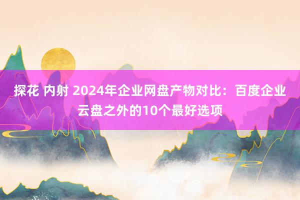 探花 内射 2024年企业网盘产物对比：百度企业云盘之外的10个最好选项