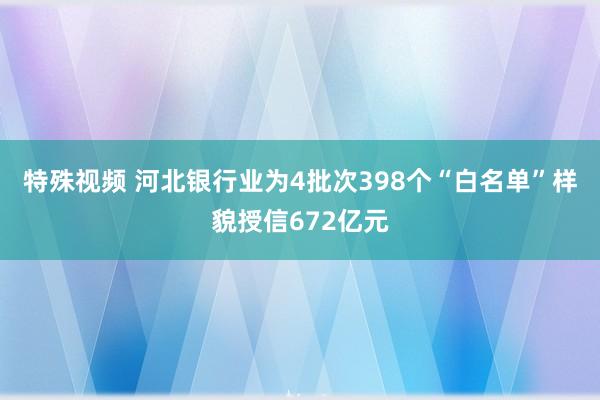 特殊视频 河北银行业为4批次398个“白名单”样貌授信672亿元