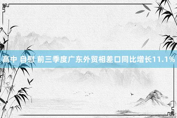 高中 自慰 前三季度广东外贸相差口同比增长11.1%