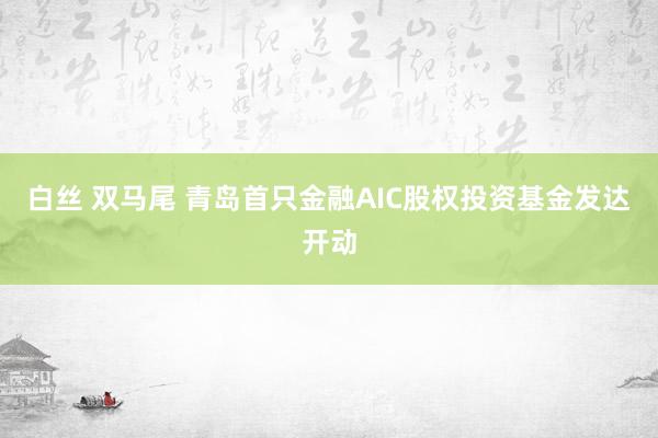 白丝 双马尾 青岛首只金融AIC股权投资基金发达开动