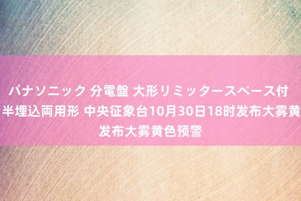 パナソニック 分電盤 大形リミッタースペース付 露出・半埋込両用形 中央征象台10月30日18时发布大雾黄色预警