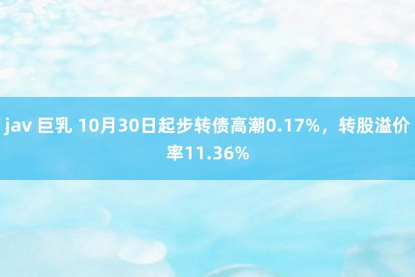 jav 巨乳 10月30日起步转债高潮0.17%，转股溢价率11.36%