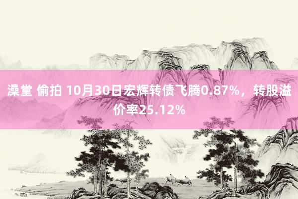 澡堂 偷拍 10月30日宏辉转债飞腾0.87%，转股溢价率25.12%