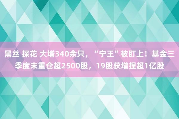 黑丝 探花 大增340余只，“宁王”被盯上！基金三季度末重仓超2500股，19股获增捏超1亿股