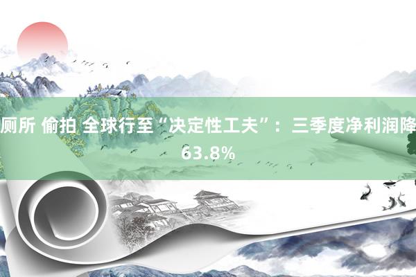 厕所 偷拍 全球行至“决定性工夫”：三季度净利润降63.8%