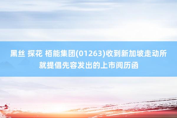 黑丝 探花 栢能集团(01263)收到新加坡走动所就提倡先容发出的上市阅历函