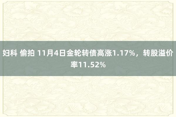 妇科 偷拍 11月4日金轮转债高涨1.17%，转股溢价率11.52%