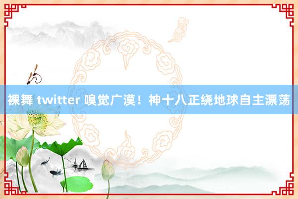 裸舞 twitter 嗅觉广漠！神十八正绕地球自主漂荡