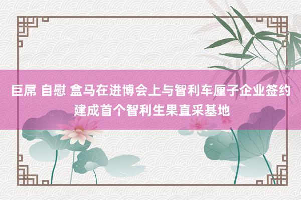 巨屌 自慰 盒马在进博会上与智利车厘子企业签约 建成首个智利生果直采基地