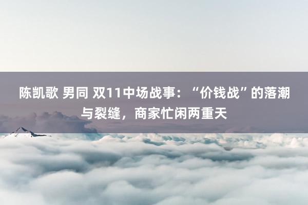 陈凯歌 男同 双11中场战事：“价钱战”的落潮与裂缝，商家忙闲两重天