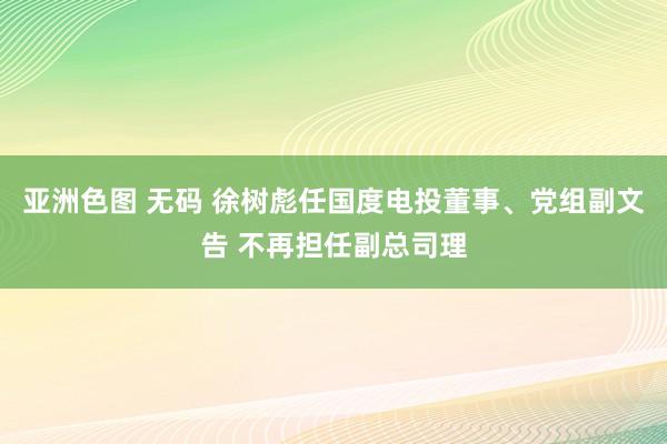 亚洲色图 无码 徐树彪任国度电投董事、党组副文告 不再担任副总司理