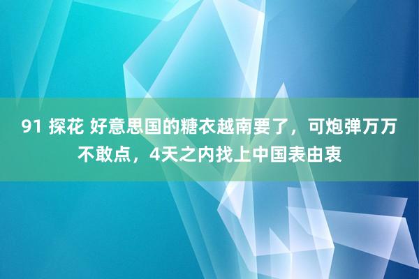 91 探花 好意思国的糖衣越南要了，可炮弹万万不敢点，4天之内找上中国表由衷