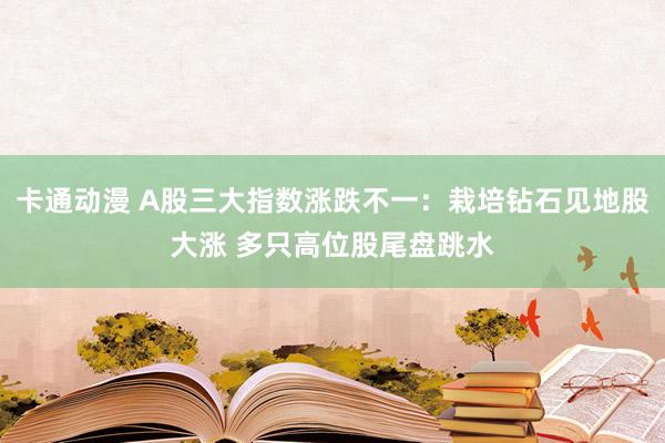 卡通动漫 A股三大指数涨跌不一：栽培钻石见地股大涨 多只高位股尾盘跳水