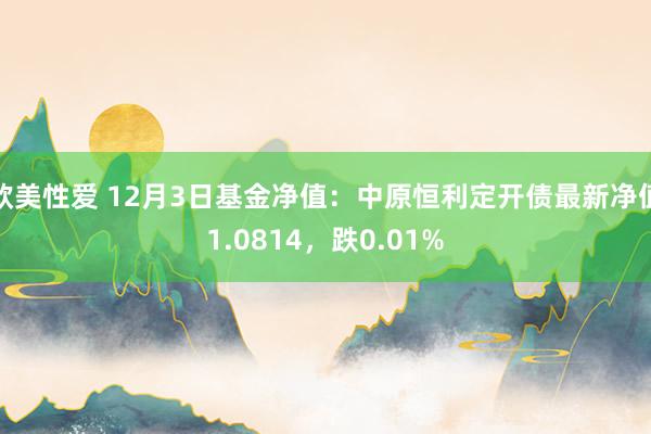 欧美性爱 12月3日基金净值：中原恒利定开债最新净值1.0814，跌0.01%