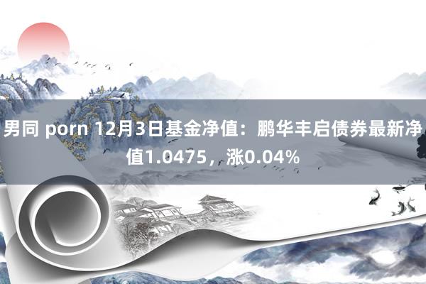 男同 porn 12月3日基金净值：鹏华丰启债券最新净值1.0475，涨0.04%