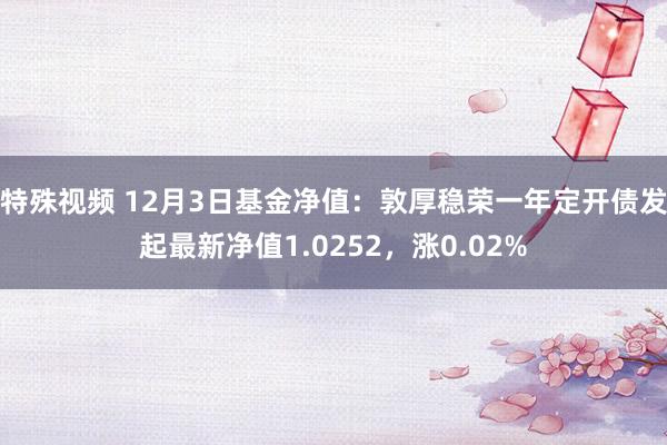 特殊视频 12月3日基金净值：敦厚稳荣一年定开债发起最新净值1.0252，涨0.02%