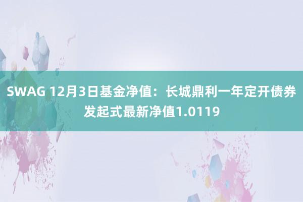 SWAG 12月3日基金净值：长城鼎利一年定开债券发起式最新净值1.0119