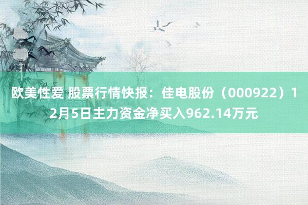 欧美性爱 股票行情快报：佳电股份（000922）12月5日主力资金净买入962.14万元