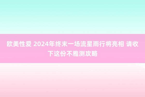 欧美性爱 2024年终末一场流星雨行将亮相 请收下这份不雅测攻略