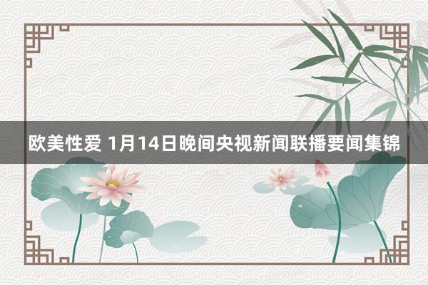 欧美性爱 1月14日晚间央视新闻联播要闻集锦