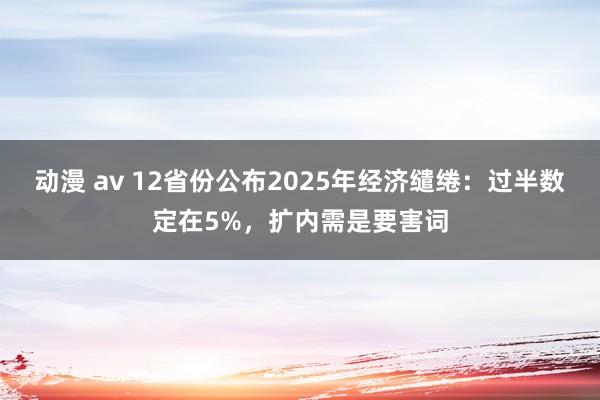 动漫 av 12省份公布2025年经济缱绻：过半数定在5%，扩内需是要害词